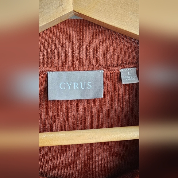 CYRUS Knit Top Mock Neck Sweater Short Sleeve Burnt Brown Ryon size L - Picture 3 of 4